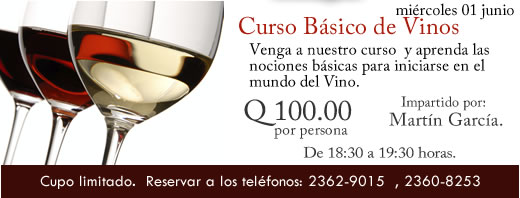 Curso de B&aacute;sico de Vinos