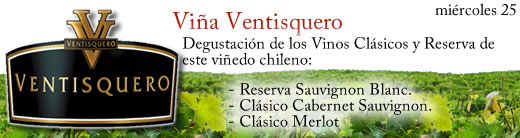 Vi&ntilde;a Ventisquero