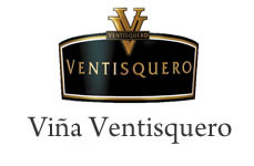 Vi�a Ventisquero